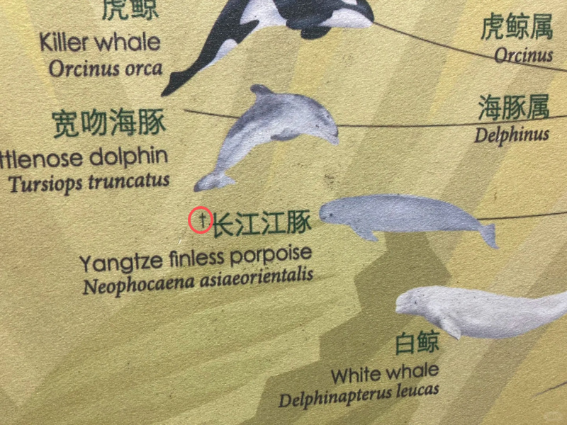 南京红山动物园冈瓦纳展区标注失误 网友供图