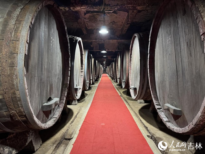 通葡地下大酒窖内绝版的巨型蒙古栎木桶