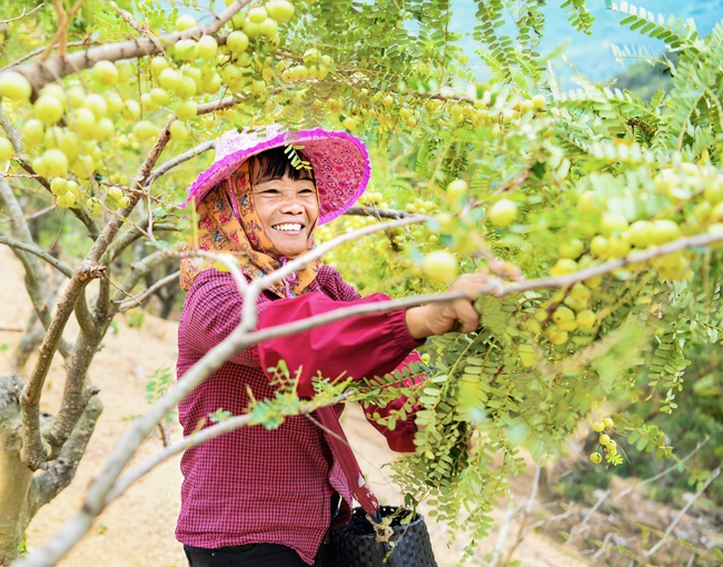 党建引领合作社 助力乡村振兴