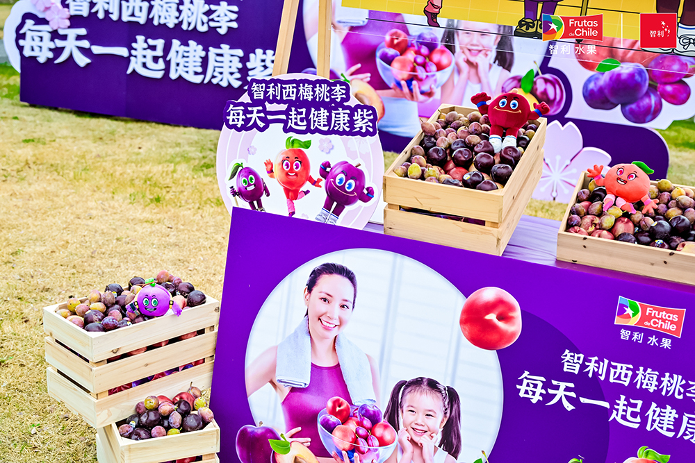 燃动上海樱花节女子10公里精英赛，智利西梅桃李引领健康生活新风尚