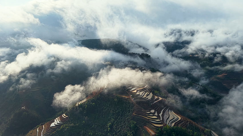 云南绿春：云雾梯田绘就仙境画卷