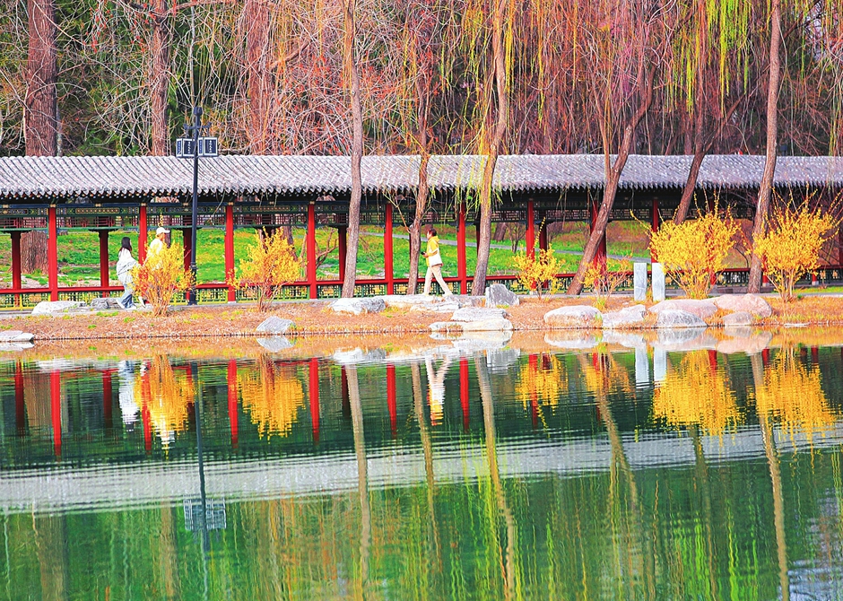 满园春色美如画