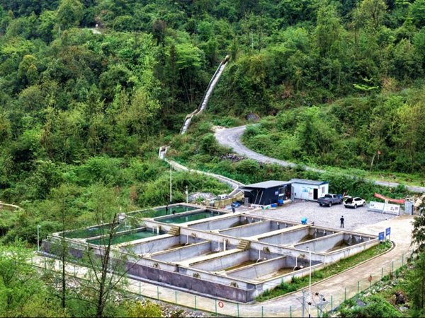 优质山泉活水养殖场