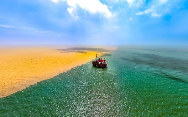 东营黄河口生态旅游区黄蓝交汇奇景。东营文旅供图