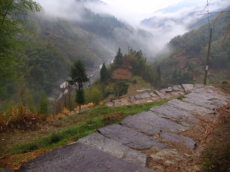 箬岭古道一隅。歙县县委宣传部供图