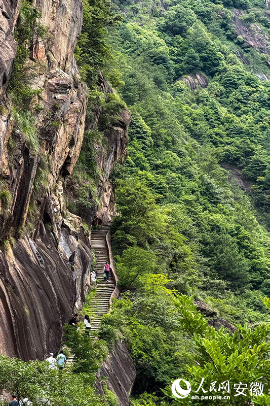 隐在青山间的徽杭古道。李希蒙摄