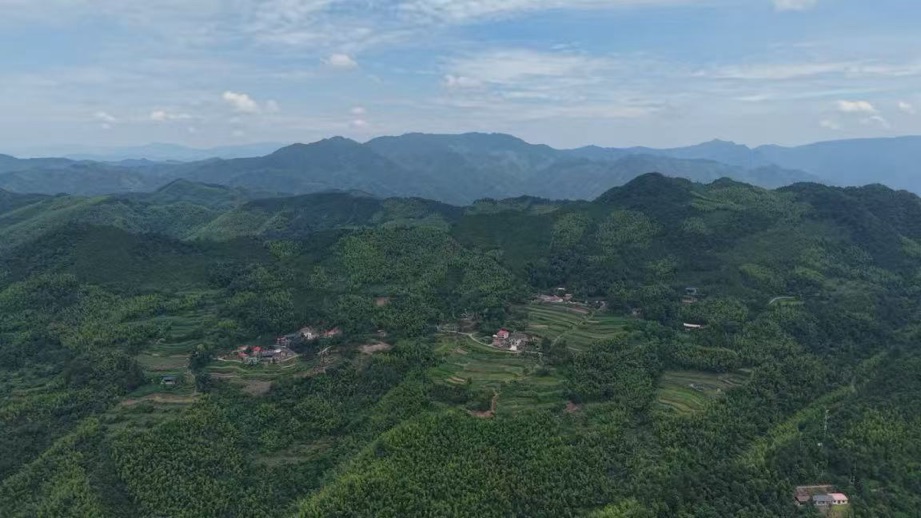 简家岭村村委航拍。邓志宇摄