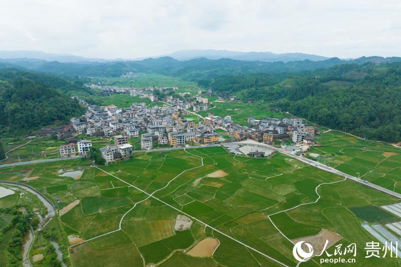 鼓楼夜曲润侗寨，侗寨红歌漫青山