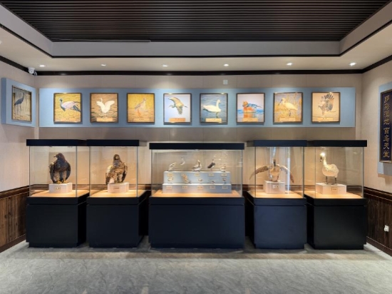 察汗淖尔湿地公园科普馆展厅。
