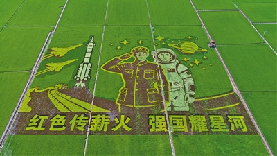 稻田绘山河