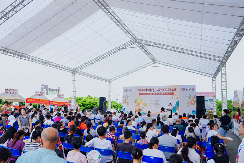 2026年平南石硖龙眼助农活动启动