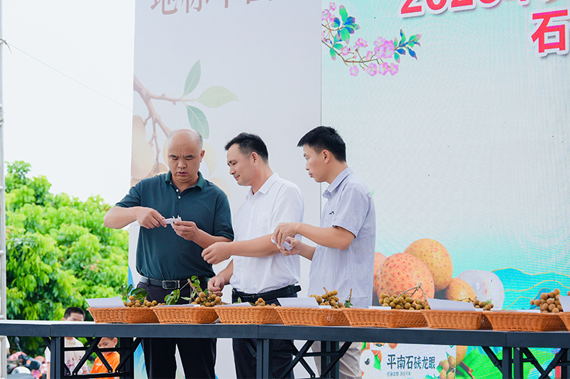 活动现场。梁瑜琳摄