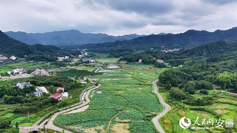 俯瞰文冲村